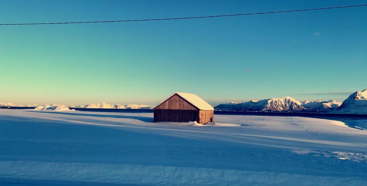 Gimsoy Narnia Lodge Lofoten מראה חיצוני תמונה