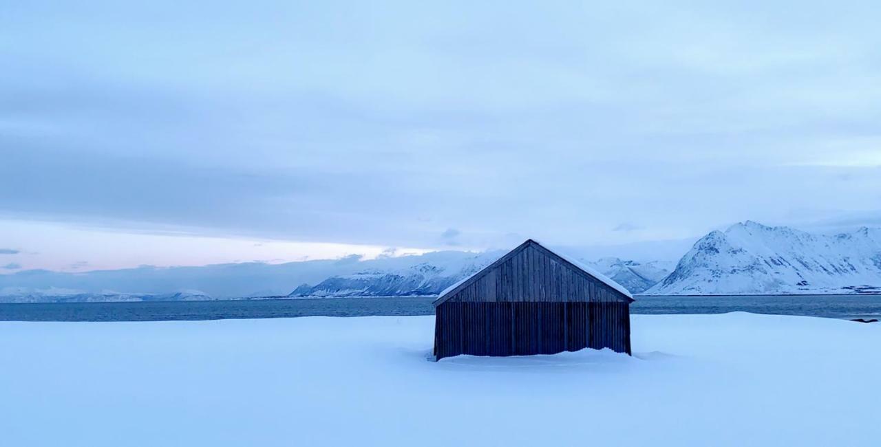 Gimsoy Narnia Lodge Lofoten מראה חיצוני תמונה